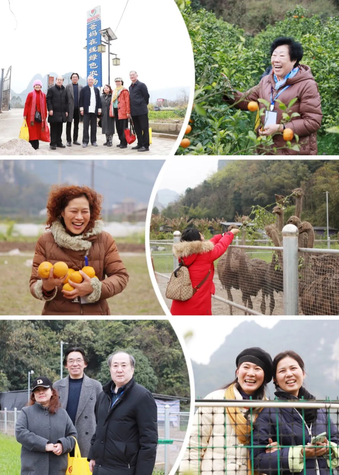 开心农场.jpg
