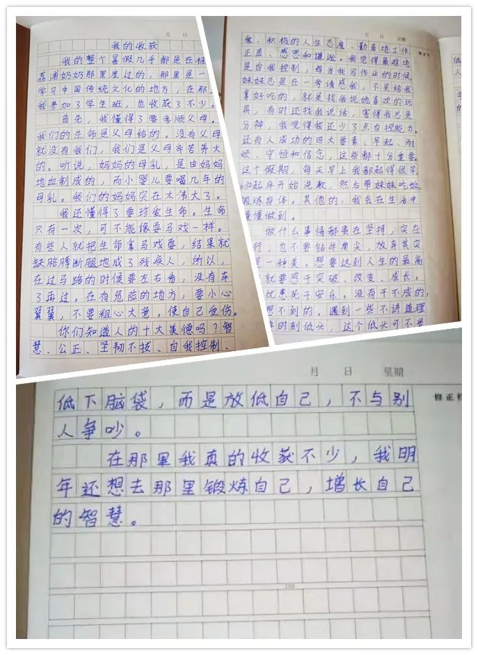 没想到，这是9岁小女孩来爸妈在线学习的收获！