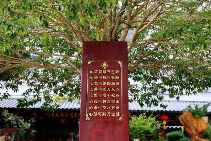 屏幕截图 2026-03-14 111748.jpg