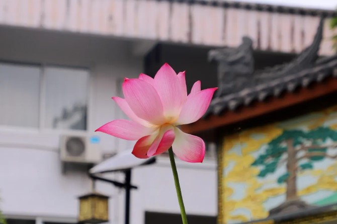 1783147636422873.jpg 屏幕截图 2026-07-04 144354.jpg