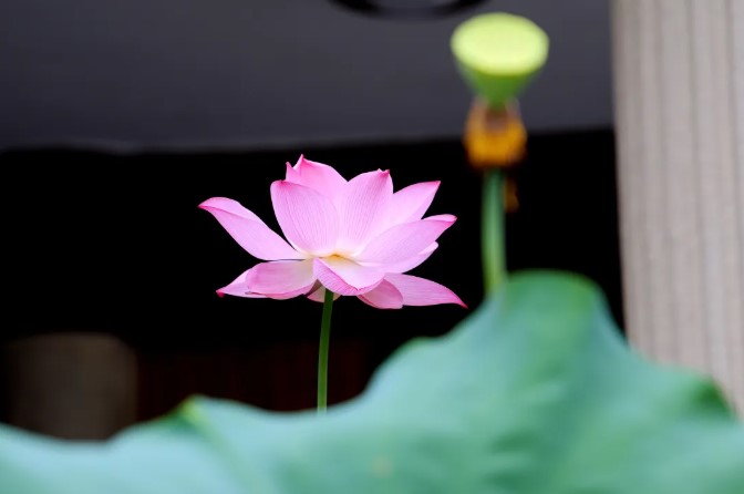 屏幕截图 2026-08-12 112755.jpg